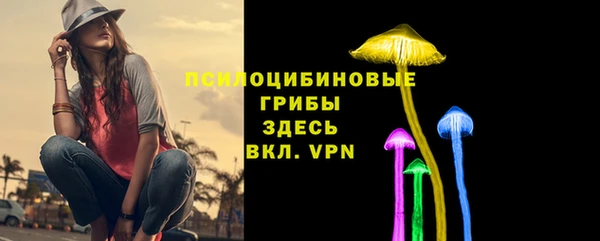 мдма Няндома